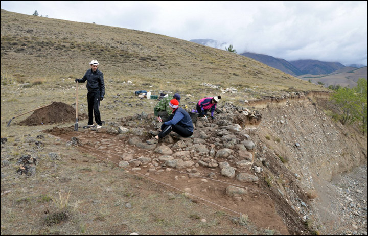 Excavations in Kosh-Agach