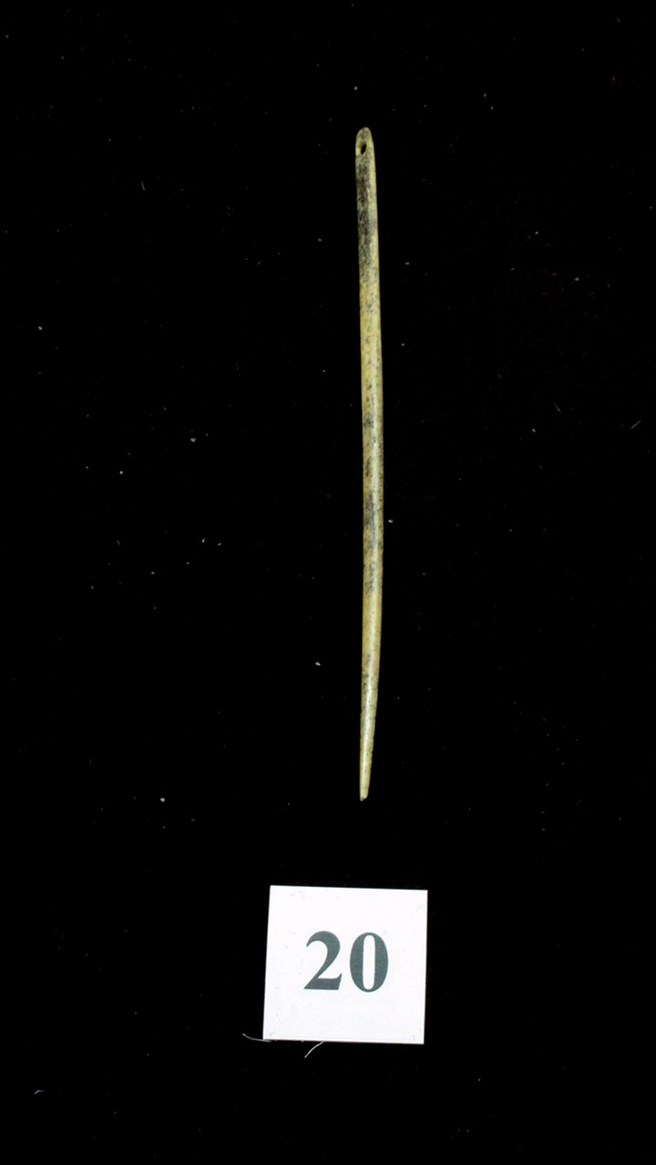 Denisovan needle