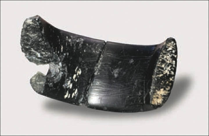 Denisovan bracelet