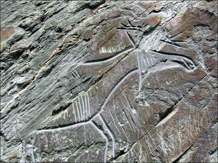 Moose petroglyph in Kemerovo region