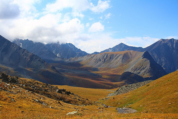 The area where the mummified head was found. Picture: Sailuyugem Nature Park