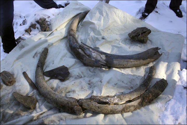 Mammoth in Khanty-Mansi