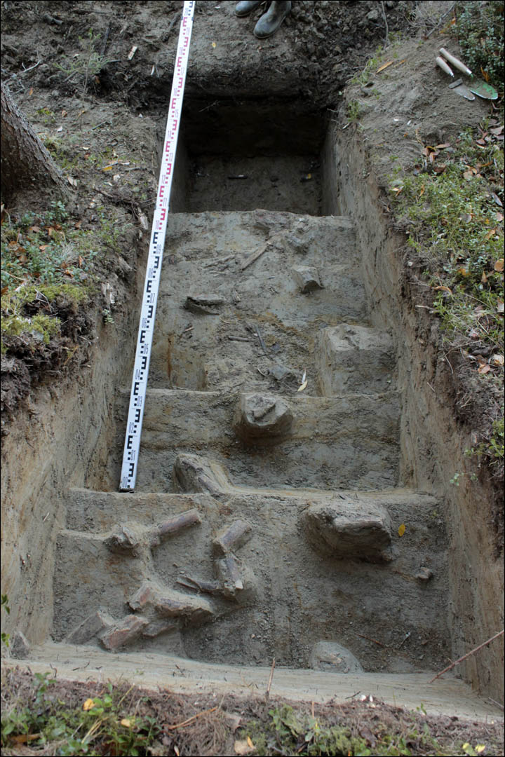 Mammoth cemetery in Ugra
