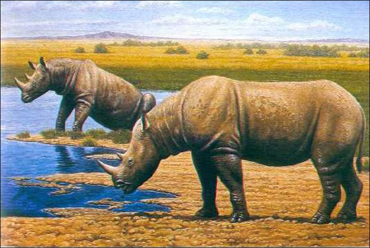 Merck rhino remains found in Urals, Russia