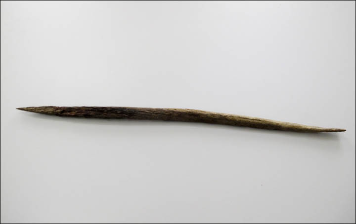 Spear of rhinoceros horn on full length