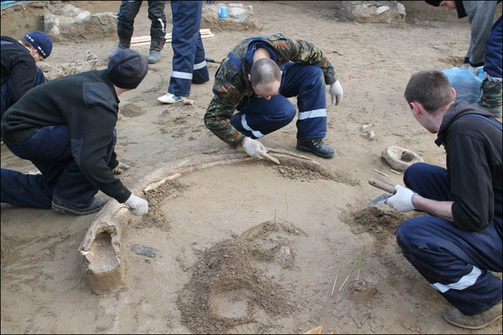 Mammoth tusk found on Afontova gora