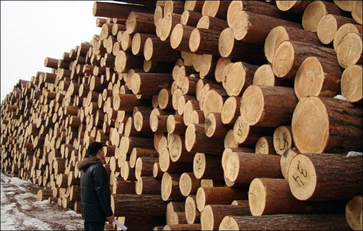 lumber exporter