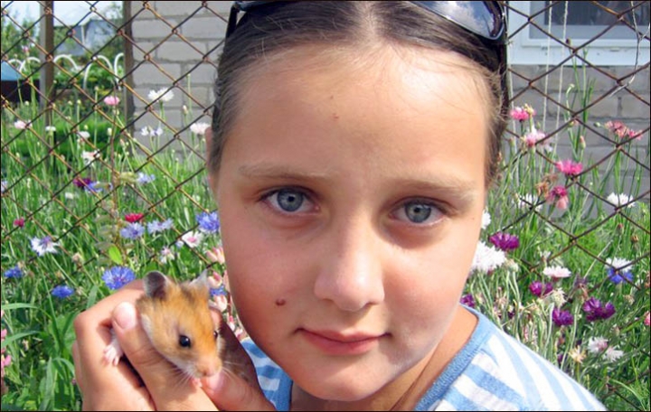 Kseniya Voronina, 11, before she was diagnosed and, below, after first chemotherapy sessions. &#39; - information_items_389