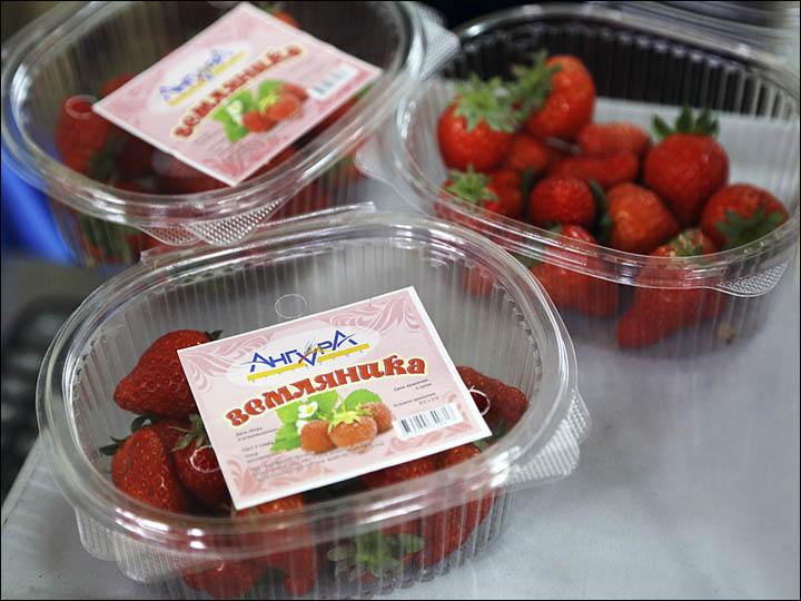 Strawberry in Irkutsk region