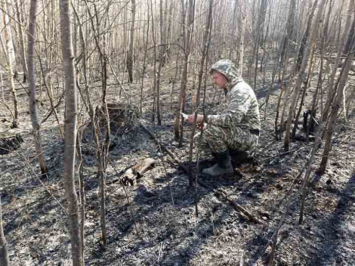 Wildfires ‘critical’ in Siberia and Russian Far East, up to ten times worse than last year