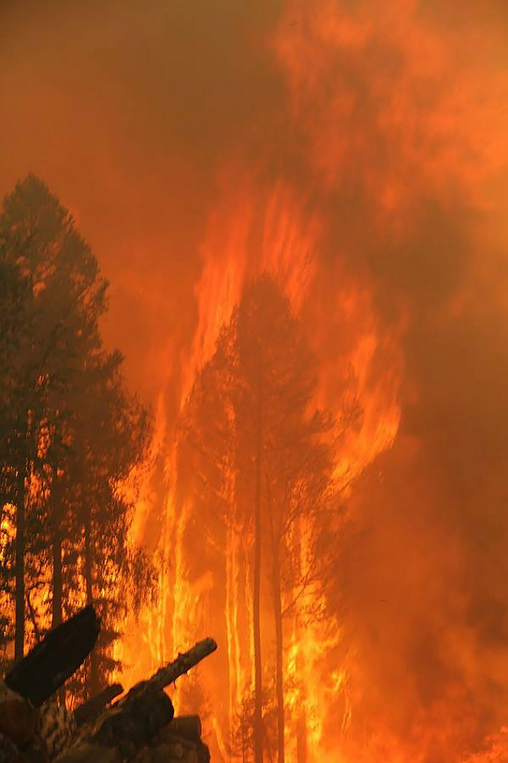 Wildfires in Krasnoyarsk region