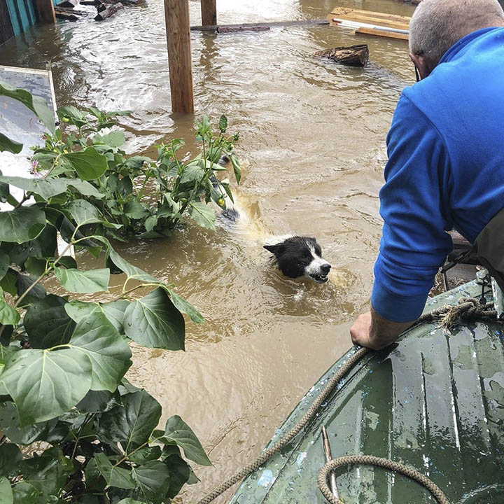 Flood in Amur region