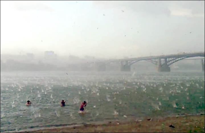 Novosibirsk hail storm people in water