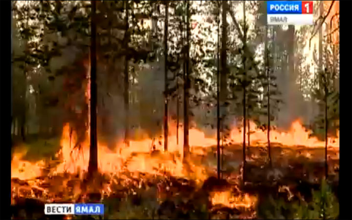 Siberia's wildfires seen from 1 million miles away: even the tundra is burning