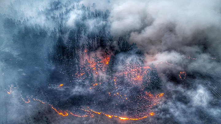 2019 to be â€˜worst-ever yearâ€™ for wildfires in Siberia and â€˜only rain can now extinguish flamesâ€™