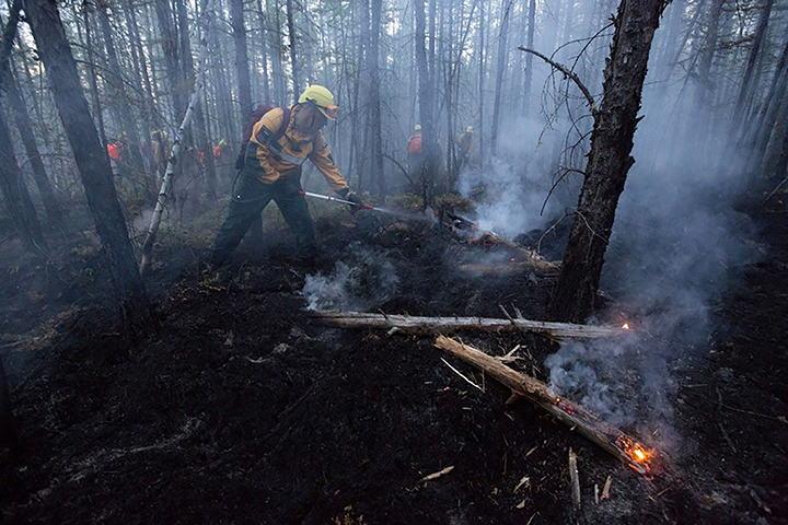2019 to be ‘worst-ever year’ for wildfires in Siberia and ‘only rain can now extinguish flames’