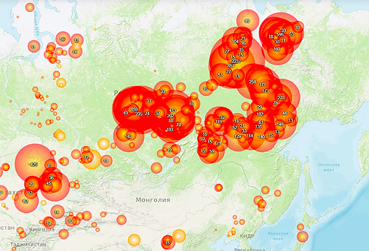 2019 to be â€˜worst-ever yearâ€™ for wildfires in Siberia and â€˜only rain can now extinguish flamesâ€™