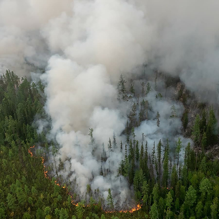 2019 für Waldbrände in Sibirien das „schlimmste Jahr aller Zeiten“ und „nur Regen kann jetzt Flammen löschen“