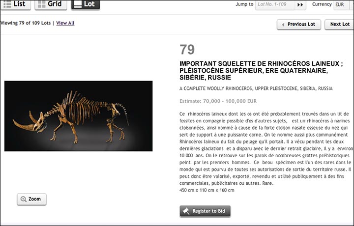 Sotheby's sells bones of Siberian mammoth and rhino