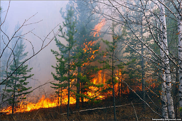 wildfires, Siberia, summer 2012