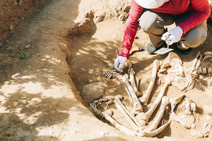 Man finds a family burial older than Egyptian pyramids while working in a garden