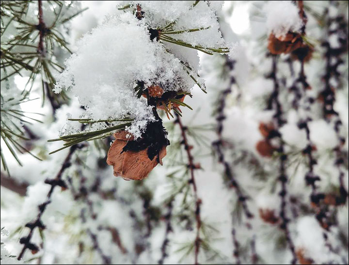 Snow in August