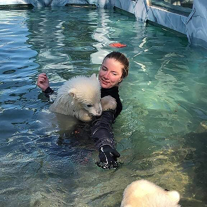 Human mother goes to water to encourage adoptive polar bear cubs to swim