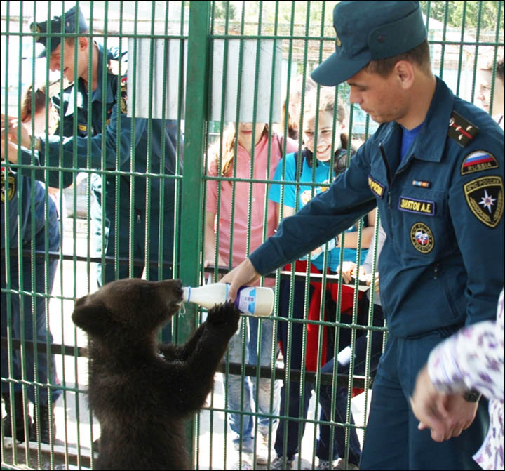 Rescuers meet the bear