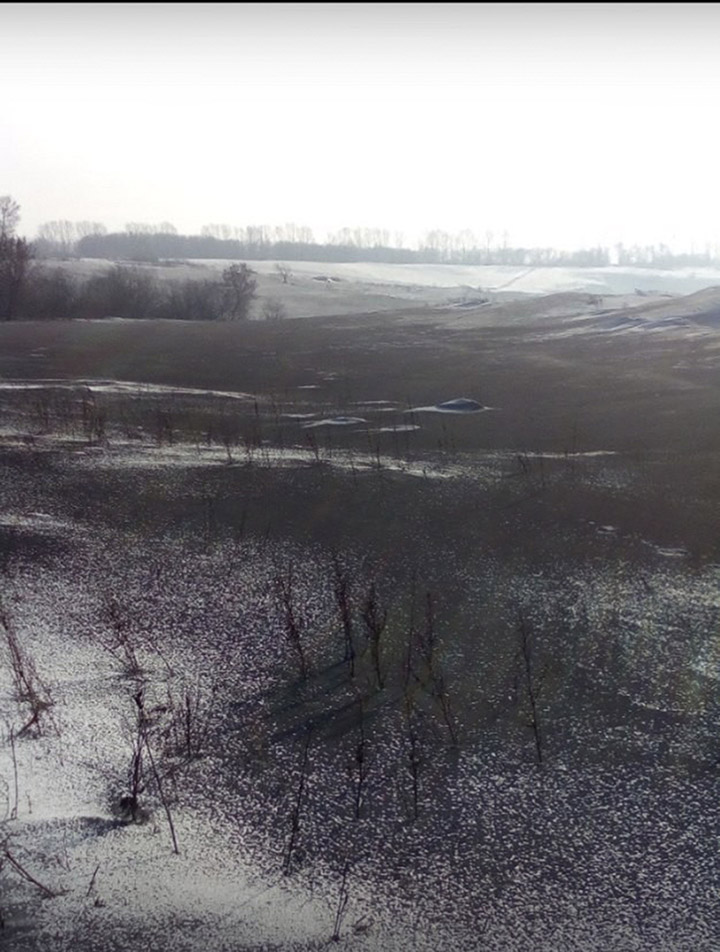 Eerie black snow falls over Siberian region triggering acute pollution concerns from locals