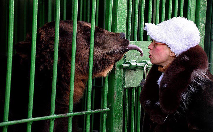 Zoo keeper who lost her leg in recent bear attack begs to pardon the predatorq