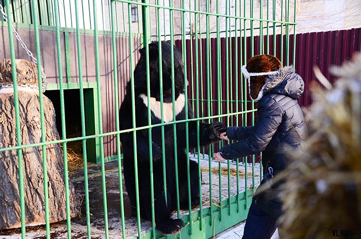 Zoo keeper who lost her leg in recent bear attack begs to pardon the predator