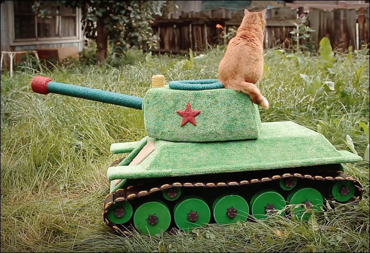 Cat drives its own tank in Siberia