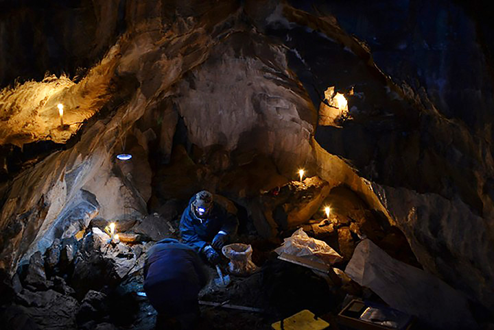 A graveyard of extinct cave bears dating from more than 50,000 years ago has been found in a grotto where humans never trod