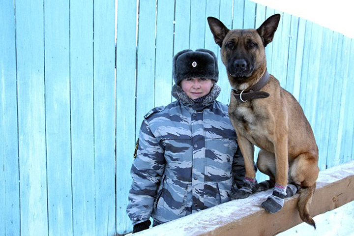 Two cloned dogs start work guarding prisoners at Forced Labour Camp #1 in YakutskqTwo cloned dogs start work guarding prisoners at Forced Labour Camp #1 in Yakutsk