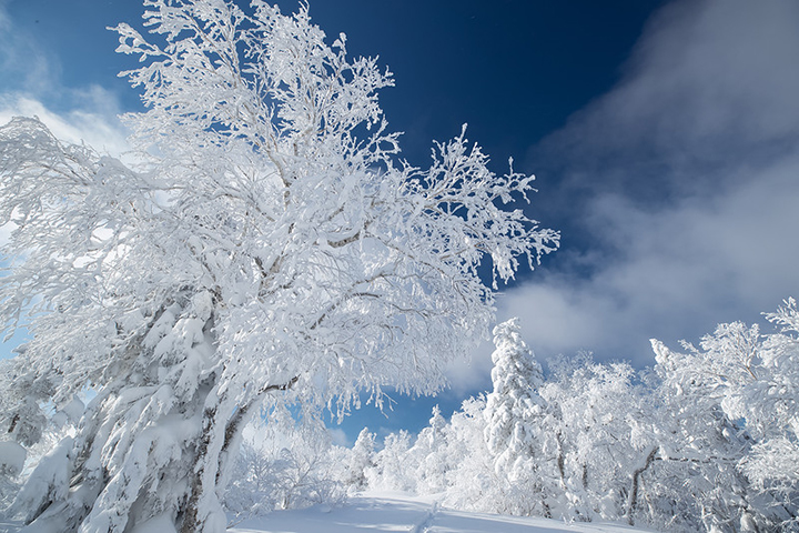Enchanting winter scenes from Russia’s largest island - Sakhalin