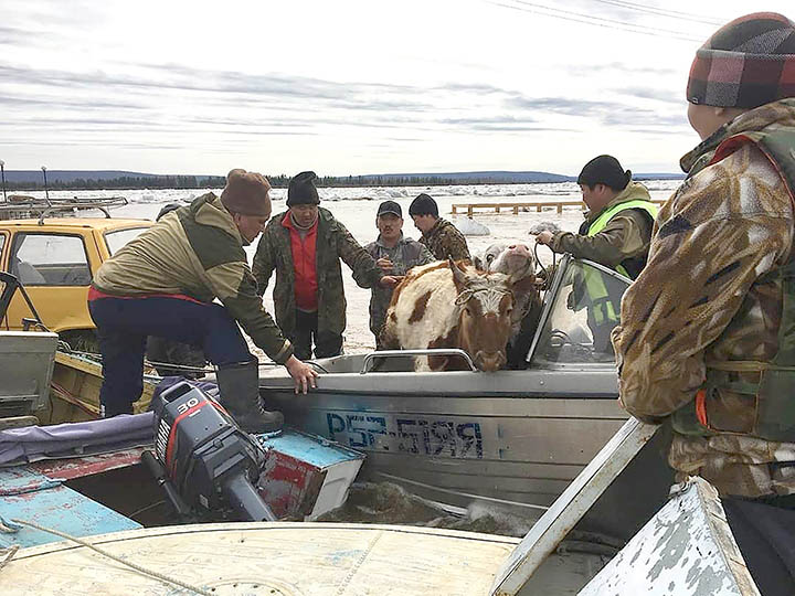 State of emergency as ice-choked Lena River spills its banks in remote settlements