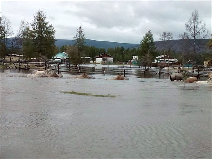 Flood in Oymyakon