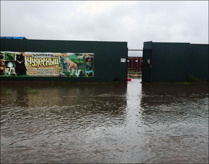 Flooded zoo