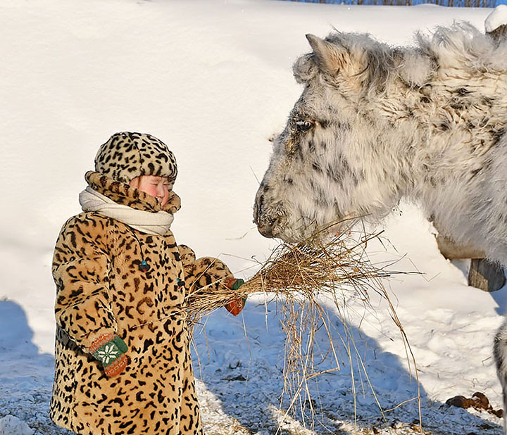 Schoolteacher captivates the world with stunning pictures from the heart of Russia’s coldest region