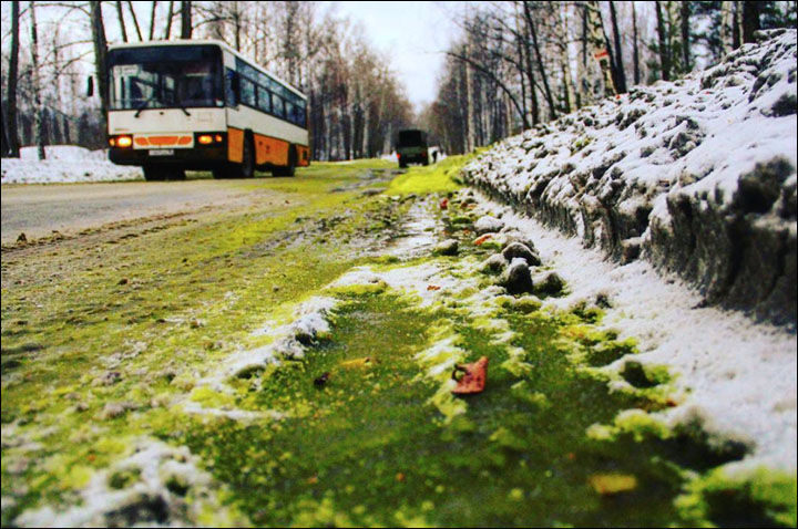 green snow Russia
