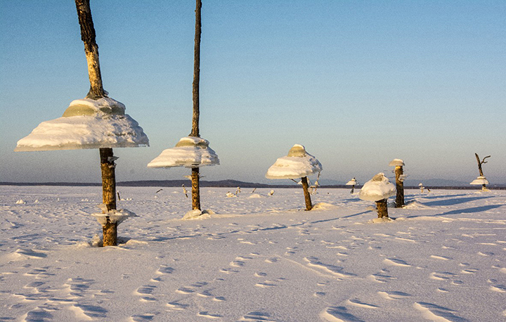 Ice mushrooms park Russia