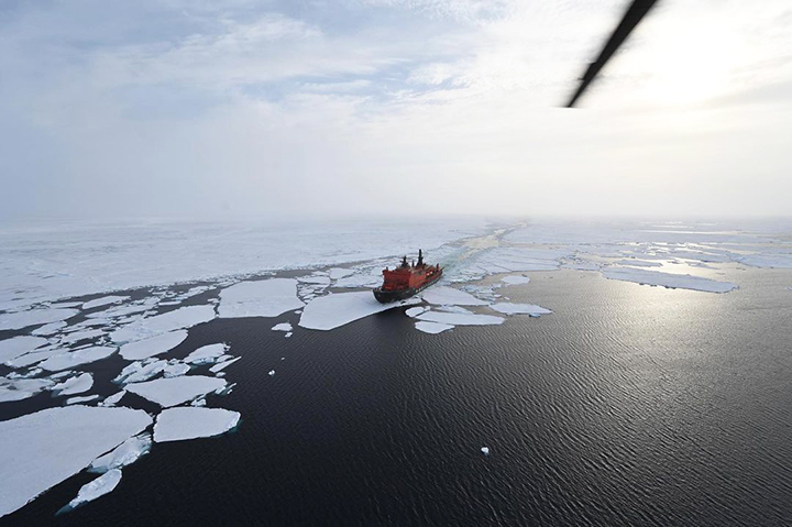 Vanishing ice and threat of extinction to polar bears - dire Arctic forecast from explorer Fyodor Konyukhov