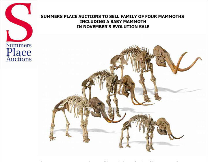 Mammoth family on sale