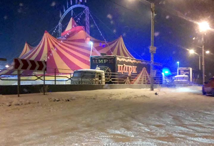 Runaway circus puma attacks young woman in Krasnoyarsk 