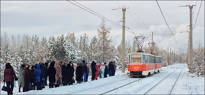 Siberian tram goes through taiga