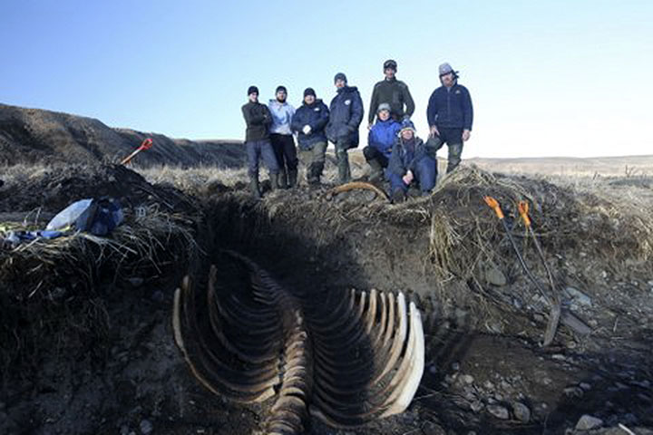 Ancient sea monster reappears on remote Russian island