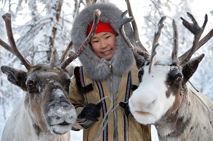 How do reindeer and Yakut horses cope with the harsh Siberian winter? They are ‘eternally tipsy’