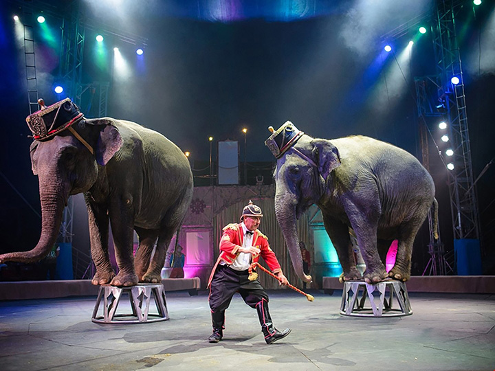 Is this the world's longest and most gruelling travelling circus journey?