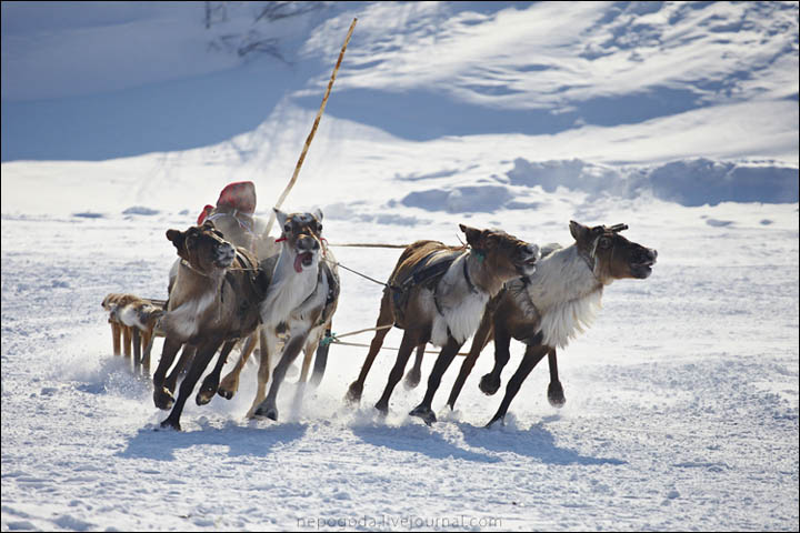 Tourism in Siberia