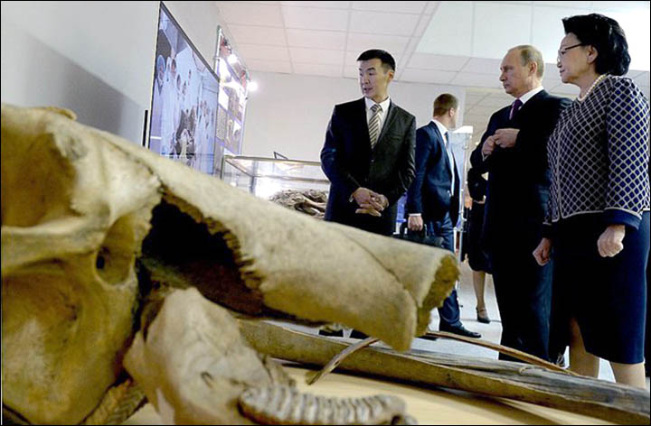 Vladimir Putin surprises a female Siberian student with flowers on her 23rd birthday but also comes face to face with a woolly mammoth